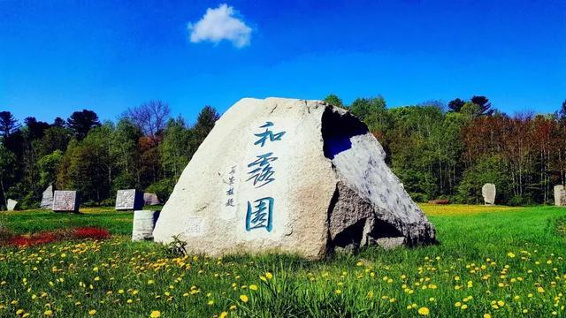 天谕手游